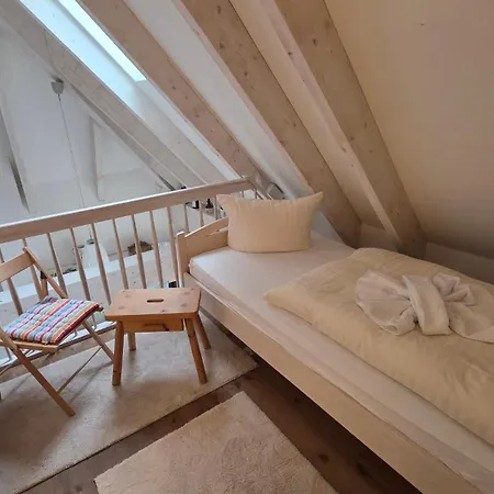 Altstadt Loft *